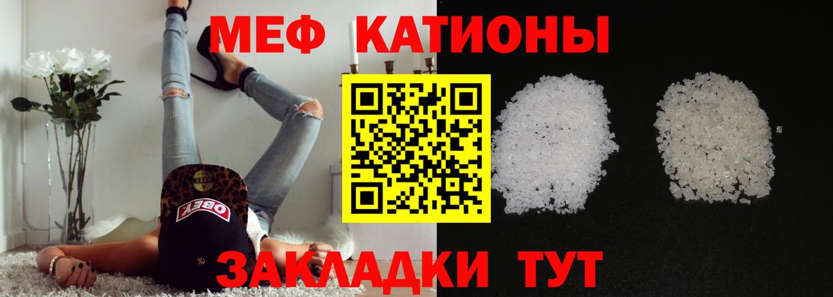 МЕФ  Асино