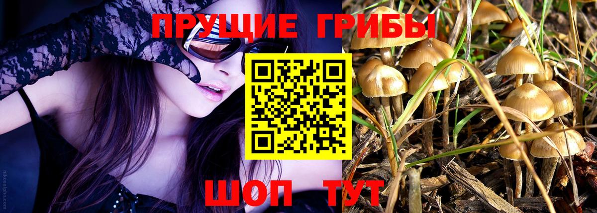 Асино  Галлюциногенные грибы мухоморы  Вход с VPN  Псилоцибиновые грибы мухоморы 